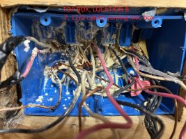 IMG_5592.JPEG