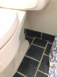 Am Std 1.jpg