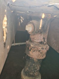 IMG_20230405_201225 copy.jpg