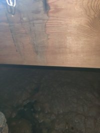 IMG_20230405_201250 copy.jpg