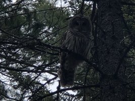 IMG_1170.jpeg