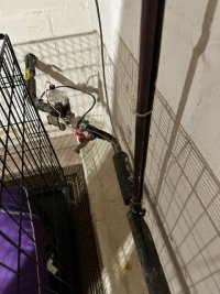 IMG_2364.jpeg