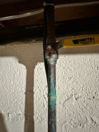 IMG_2363.jpeg