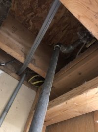 IMG_5798.jpeg