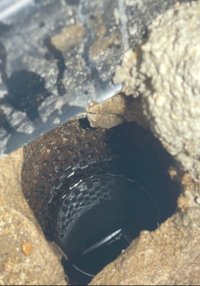 IMG_2641.jpeg