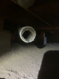 IMG_4867.jpeg