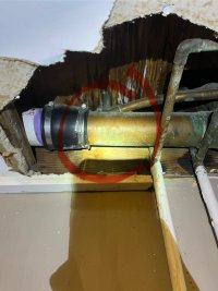 IMG_8615.jpeg