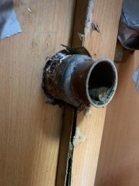 IMG_3924 2.jpeg