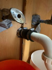IMG_3929.2 jpeg.jpeg