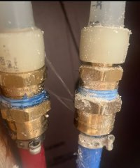 IMG_0686.jpeg