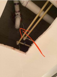 IMG_2139.jpeg