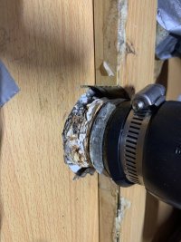 IMG_4079.jpeg