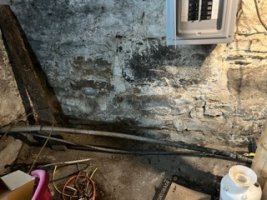 IMG_0217 Small.jpeg
