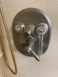 Delta shower handle.jpg
