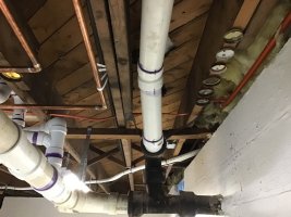 IMG_0075.jpeg