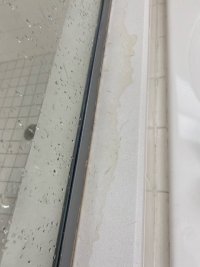 Stains 2.jpg