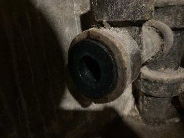 IMG_8185.jpeg