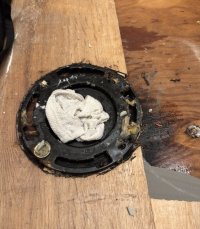 IMG_4240.jpeg