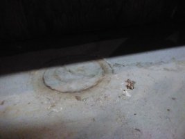 IMG_20241204_153515.jpg