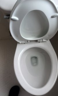 IMG_1136.jpeg