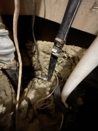 IMG_0074 Medium.jpeg