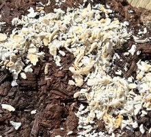 mineral or iron buildup.jpg