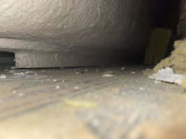IMG_7969.jpeg