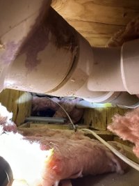 IMG_0602.jpeg