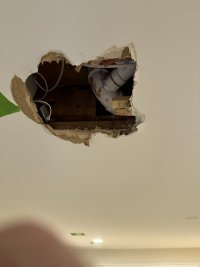 IMG_0607.jpeg