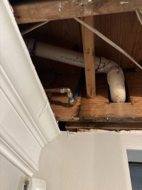 IMG_4376.jpeg