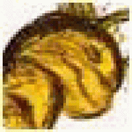 WilliamNig