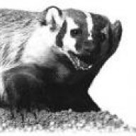 BadgerBoilerMN