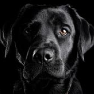 JRC3