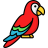 psittacus