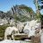 Olgoat