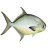 The fish