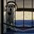 Dogs_rule