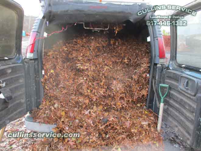cullins-service-leaf-removal-fall-cleanup-newton-018.jpg