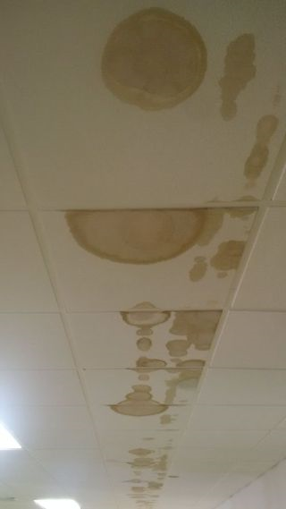 leak in ceiling.png
