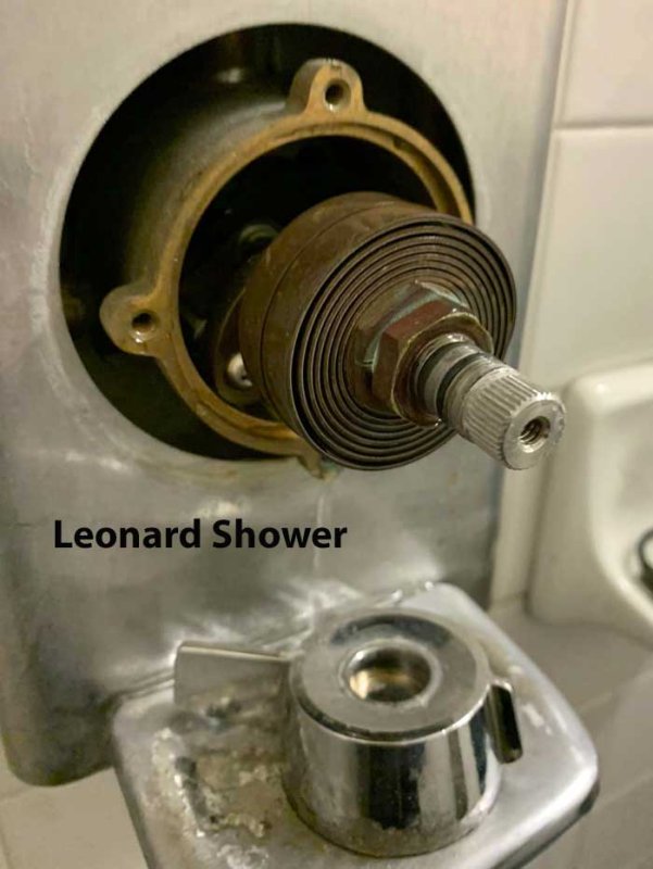 leonard-shower-03.jpg