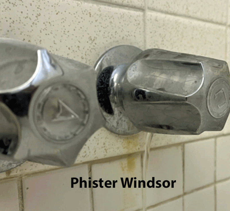 phister-windsor.gif