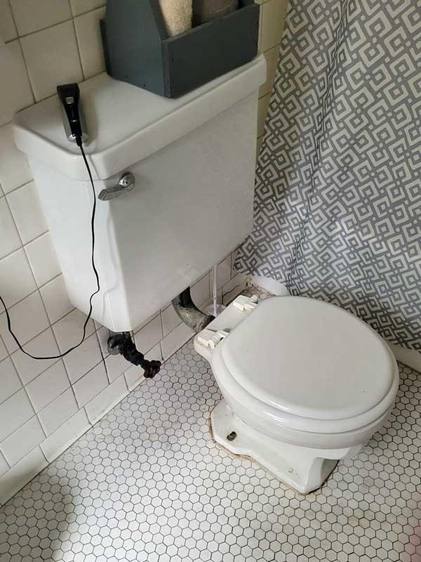 toilet-1920-white.jpg
