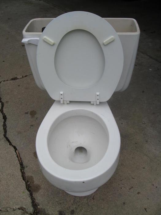 toilet 2.jpg