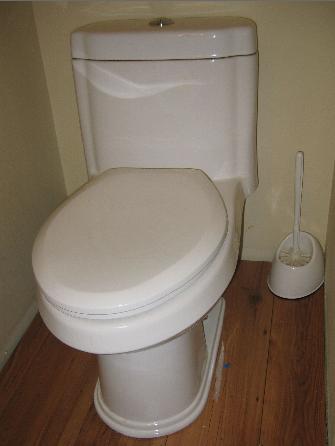 wr_dual_flush.jpg