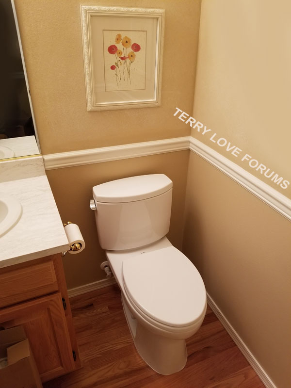 cst454-terrylove-02.jpg