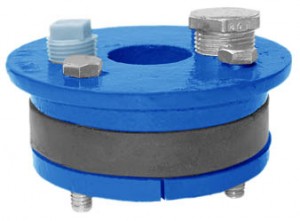 WS300-300x221.jpg