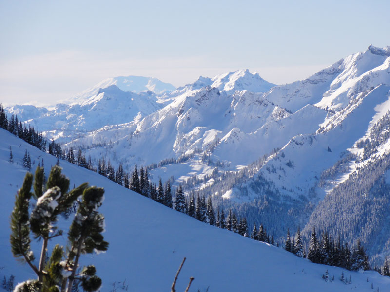 crystal_2013_3397.jpg