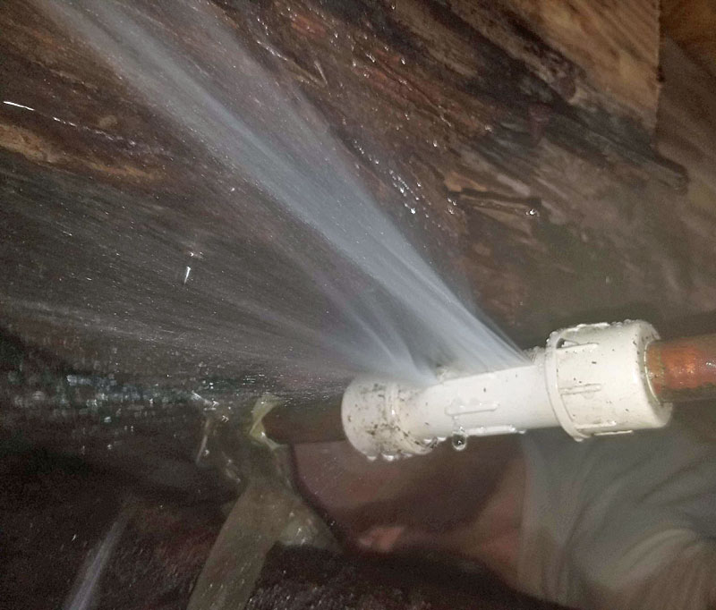 not-plumber-1.jpg