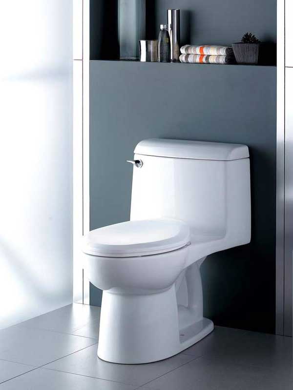 champion-4-elongated-one-piece-toilet.jpg