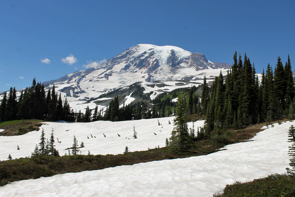 rainier_0611.jpg